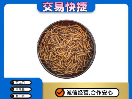 长顺县回收散虫草